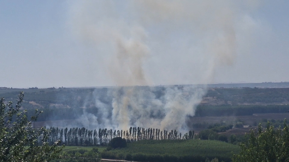 Diyarbakır Hevsel Bahçeleri’nde anız yangını Diyarbakır Hevsel Bahçeleri’nde anız yangını