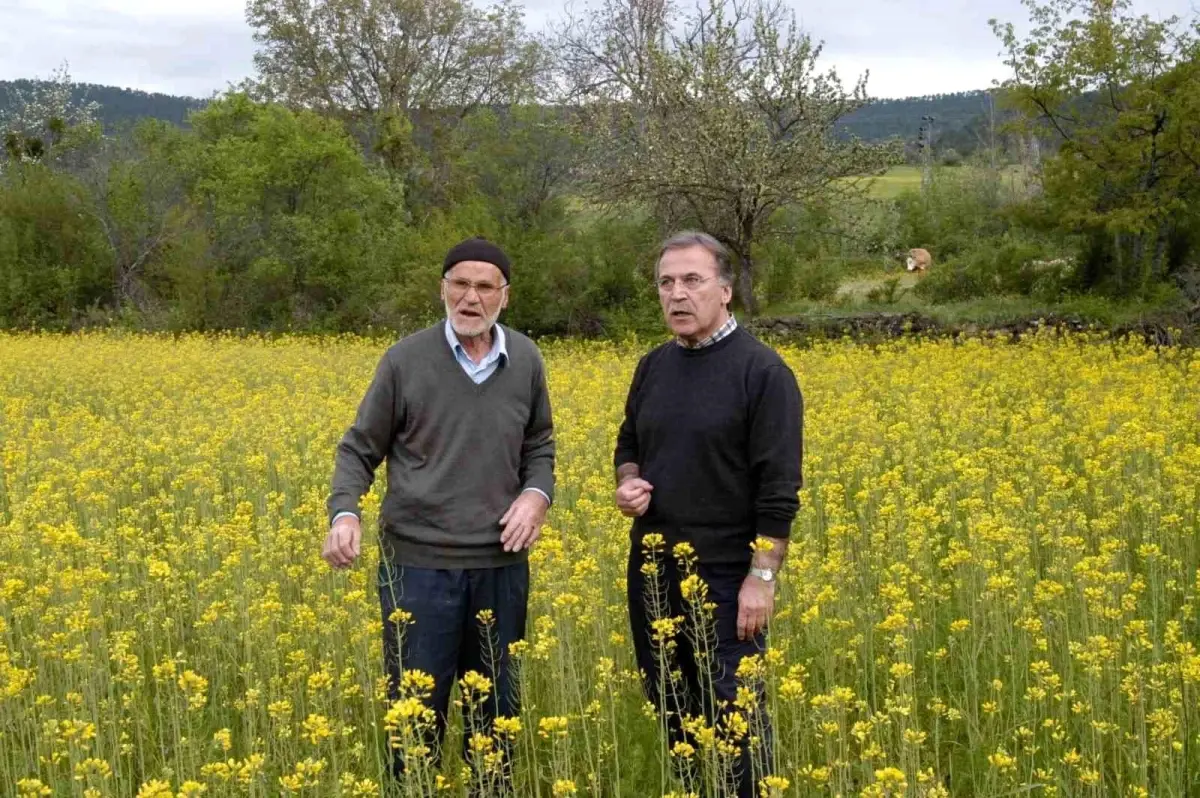 Abdullah Şahin Hayatını Kaybetti, Cenazesi 25 Ekim’de