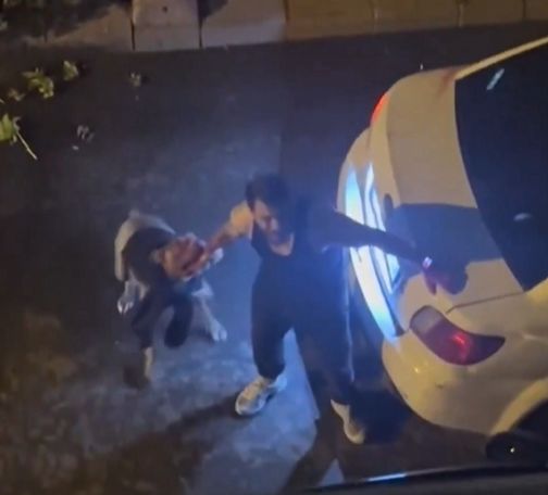 GÜNDEM İstanbul’da gezdirilen pitbull sahibine saldırdı! Vatandaşlar korku dolu anlar yaşadı