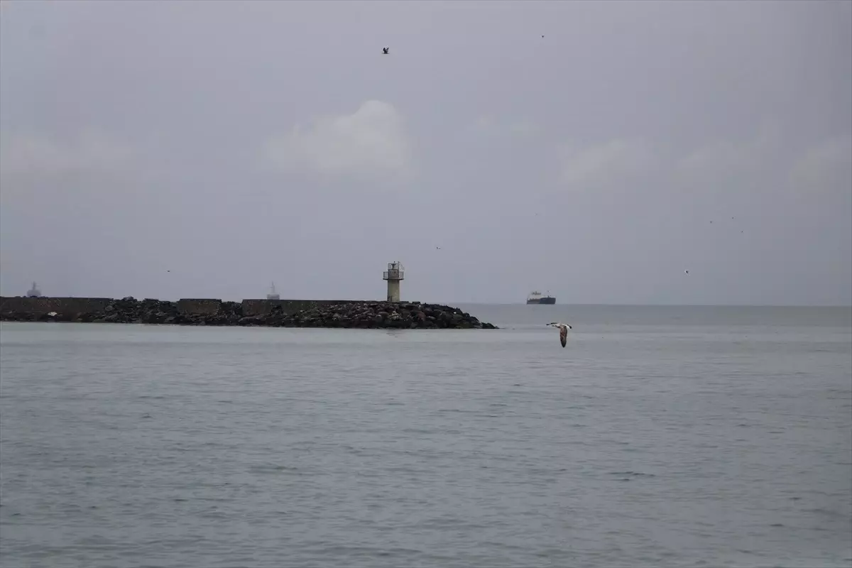 Tekirdağ’da Poyraz Etkisini Yitirdi, Deniz Ulaşımı Normale Döndü