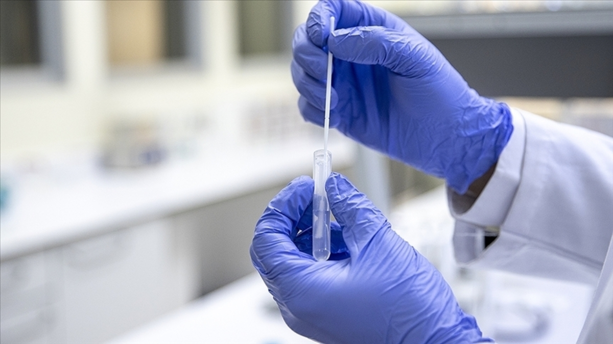 Kuzey Yarımküre’de H3N2 Virüsü Hızla Yayılıyor Kuzey Yarımküre’de H3N2 Virüsü Hızla Yayılıyor