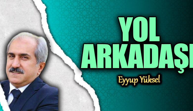 Bir Günlükte Yol Arkadaşının Düşünceleri