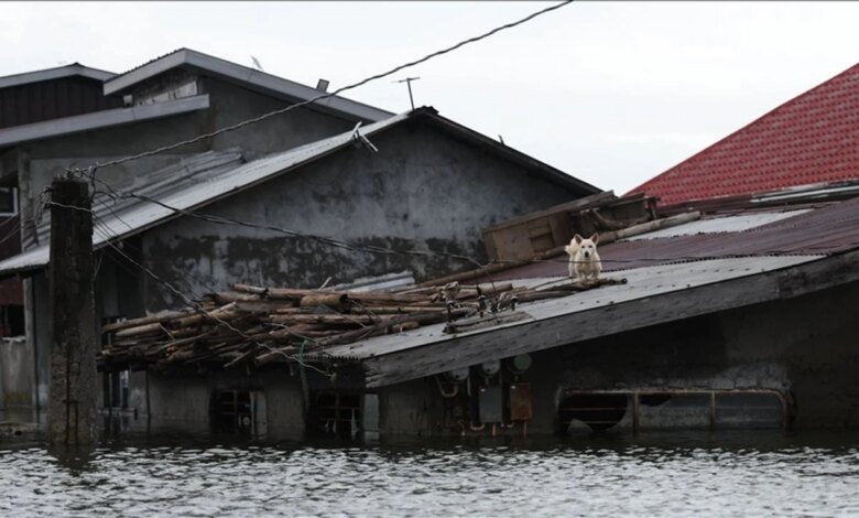 Vietnam’da Bualoi Tayfunu Sonucu 12 Kişi Hayatını Kaybetti